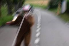 enter-mouloud05-059